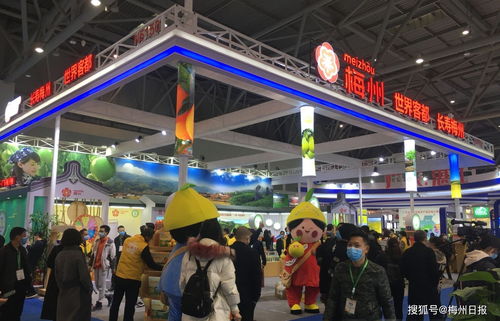 梅州名優特農產品組團亮相山城重慶，展現初級農產品原生態魅力
